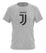 Чоловіча футболка (VF0229), серый, Чоловіча, Сірий, S