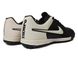 Сороконожки Nike Tiempo Legend TF, Черный, 39, TF багатошиповки, Штучні і природні жорсткі покриття