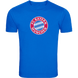 Чоловіча футболка (VF0261), Синий, Чоловіча, Синій, S