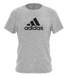 Чоловіча футболка (VF0017), серый, Чоловіча, Сірий, S